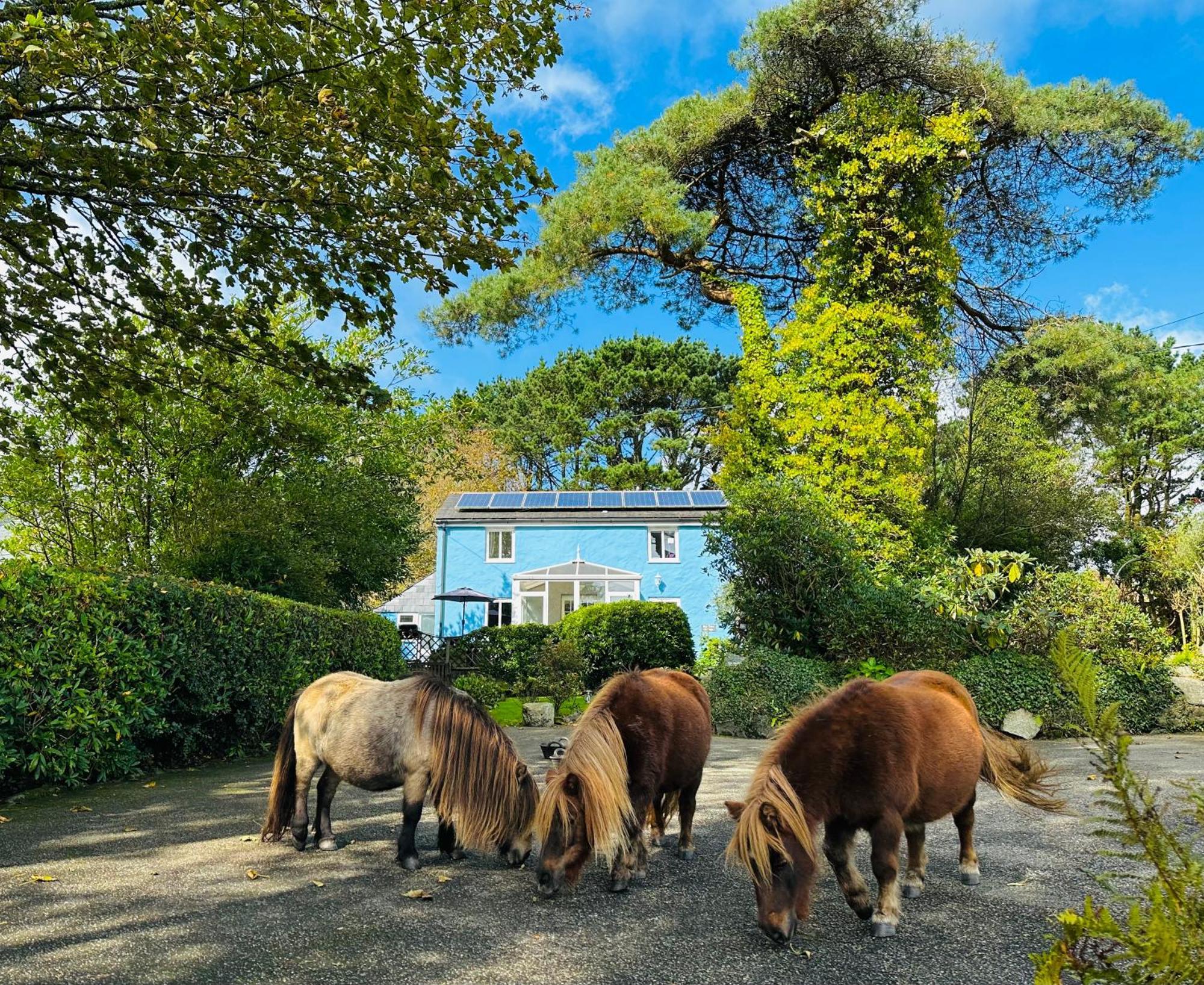 Bay View Cottage 세인트오스틀 외부 사진